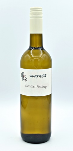 2024 SUMMER FEELING