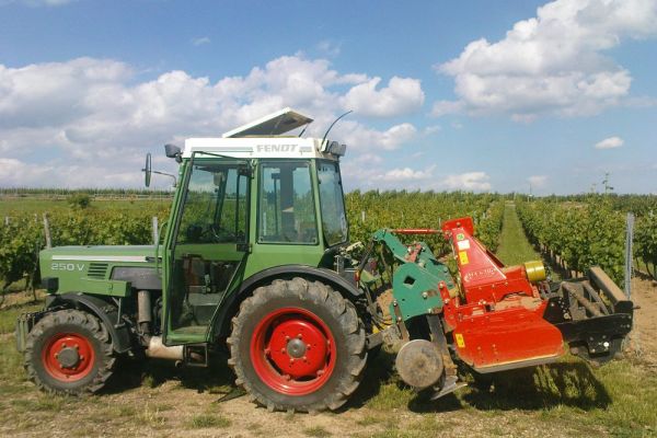 weinbau-wagner-traktor-auf-feldCD698CC0-7A56-8536-D833-2EE8AEC380AB.jpg